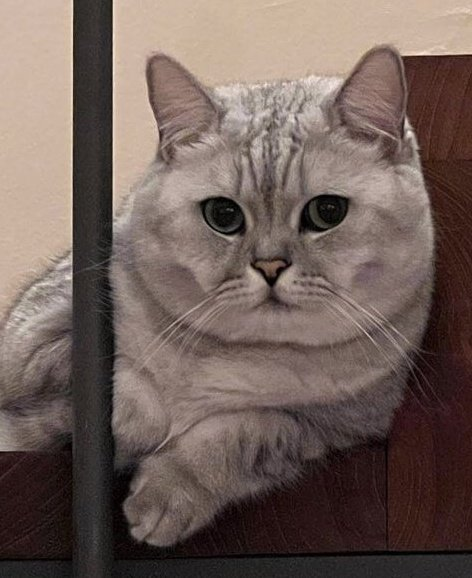 อีกไม่กี่ชั่วโมงก็วันเกิดลูอู๊ดแล้ว มาอวยพร ขอให้กินเก่งๆ ร่างกายอ้วนท้วมสมบูรณ์นะอ้วนนะ
#CutieLouisDay
HAPPY BDAY LOUIS 
#LISA #LALISA #MONEY