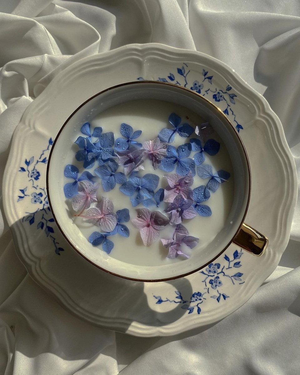 lavieestbelIe's tweet photo. Flower drinks https://t.co/D9CyC9KcMe