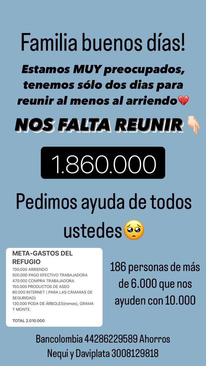 nana1gc's tweet photo. Además, también damos empleo a varias personas empezando por cachaca💔 lastimosamente los últimos meses tampoco se nos ha hecho fácil pagarle lo que se merece. Me duele demasiado pero este mes NISIQUIERA Hemos reunido el arriendo que se debe pagar en dos dias💔💔 https://t.co/VS9Pi00kuN