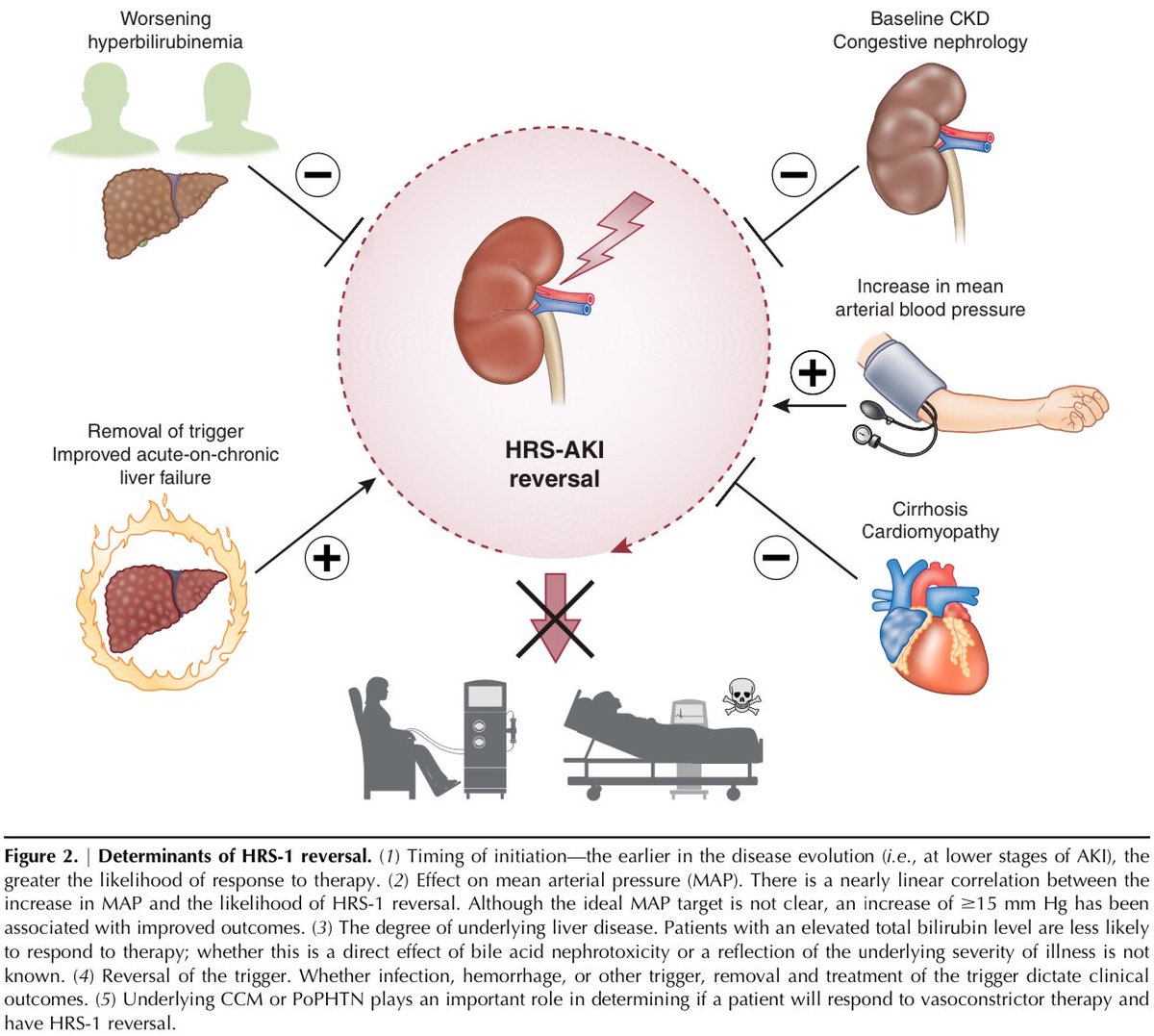 AmbrizMau's tweet photo. Determinantes para la reversión del SÍNDROME HEPATO-RENAL TIPO 1:

@VelezNephHepato 
CJASN 2022; DOI: https://t.co/y7VGRrc2V0 https://t.co/0OqpYJcD8D