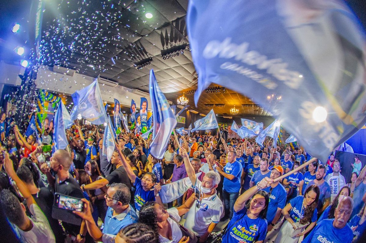 Camila Holanda tweet media