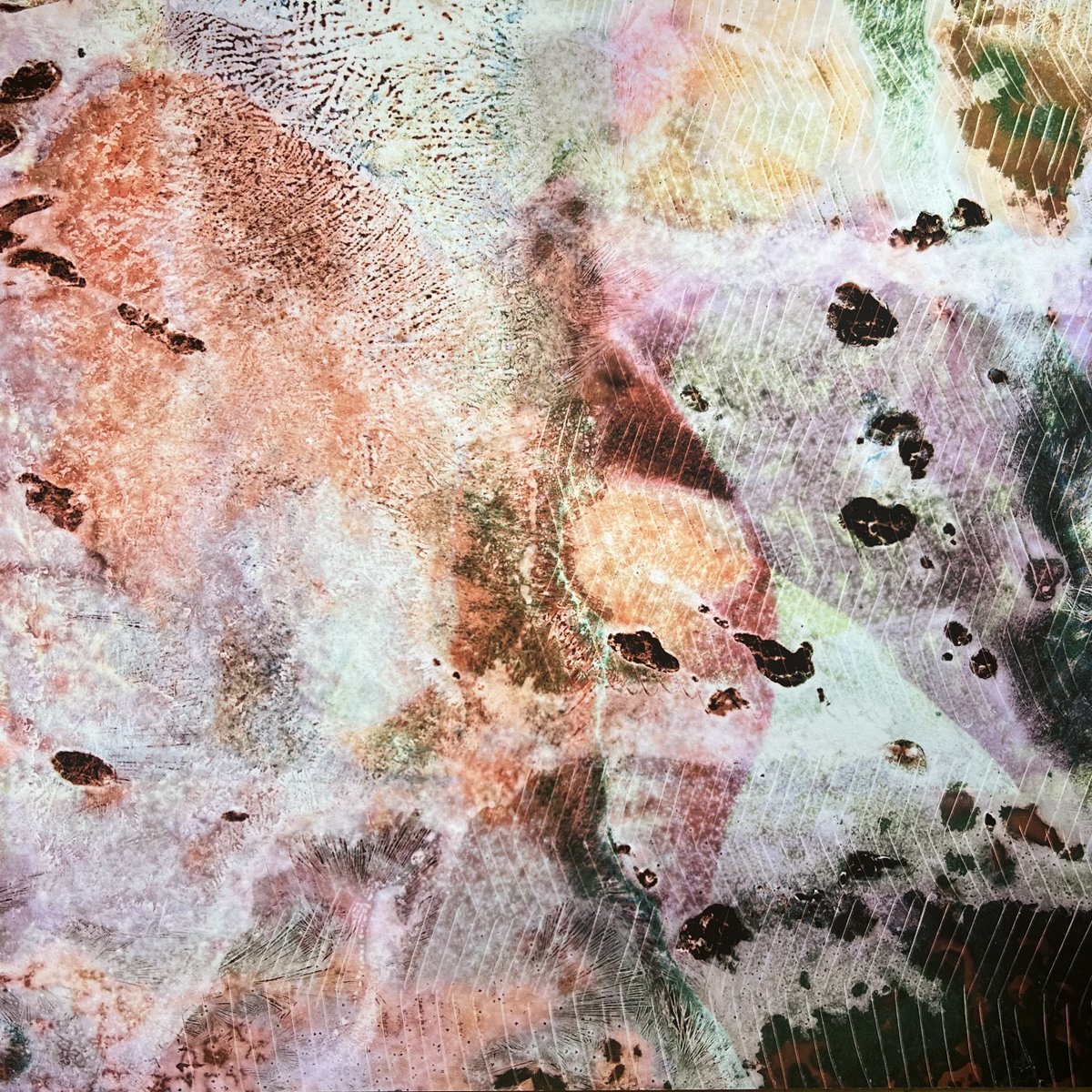 I’m doing a small and cheap print sale so if anyone thinks these would look good on their wall, give me a shout! 15x15” printed on Hahnemühle Photorag ✨