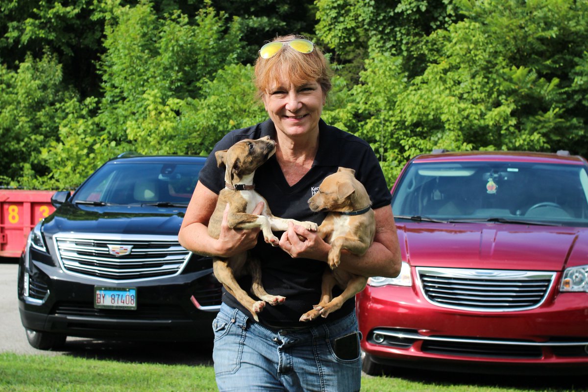 kyhumane's tweet photo. (2/2) &amp; Floyd County Animal Shelter (FCAS) in Prestonsburg &amp; were up for adoption prior to the flooding. KHS also delivered needed supplies &amp; is providing financial aid to KRRAS so it can rent a vehicle to transport additional animals outside the region. https://t.co/18lvDT1Q0E https://t.co/Df9Rr3Ikfw