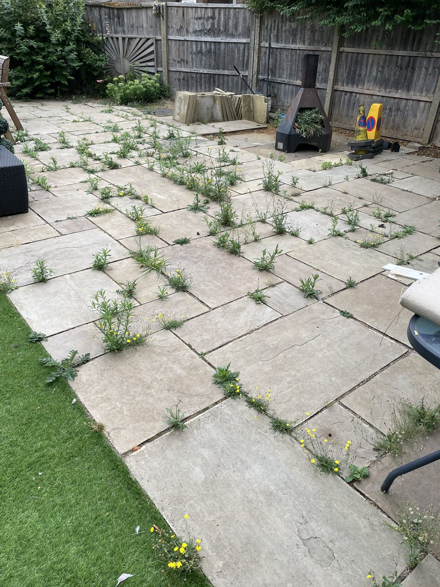 1402KDAVIS's tweet photo. While cave man dismantled man cave, I weeded. Would have preferred weeding library but hey ho. It’s looking good. Shame I’m getting kicked out 😢 #libraryassistant #libraryweeding #gardenweeding #weedinglibrary #weedinggarden https://t.co/vfxUb0Z9zi