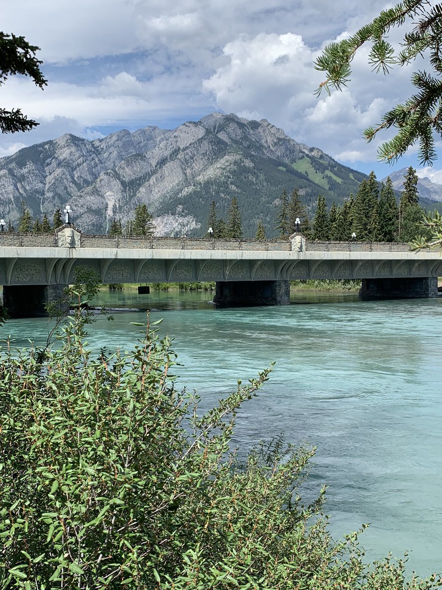 Kristin Roy tweet media