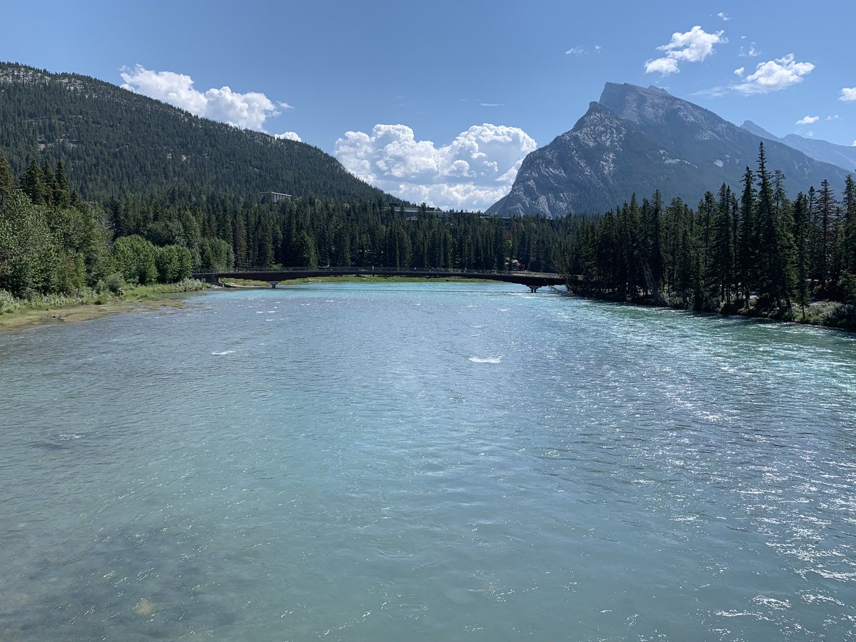 Kristin Roy tweet media