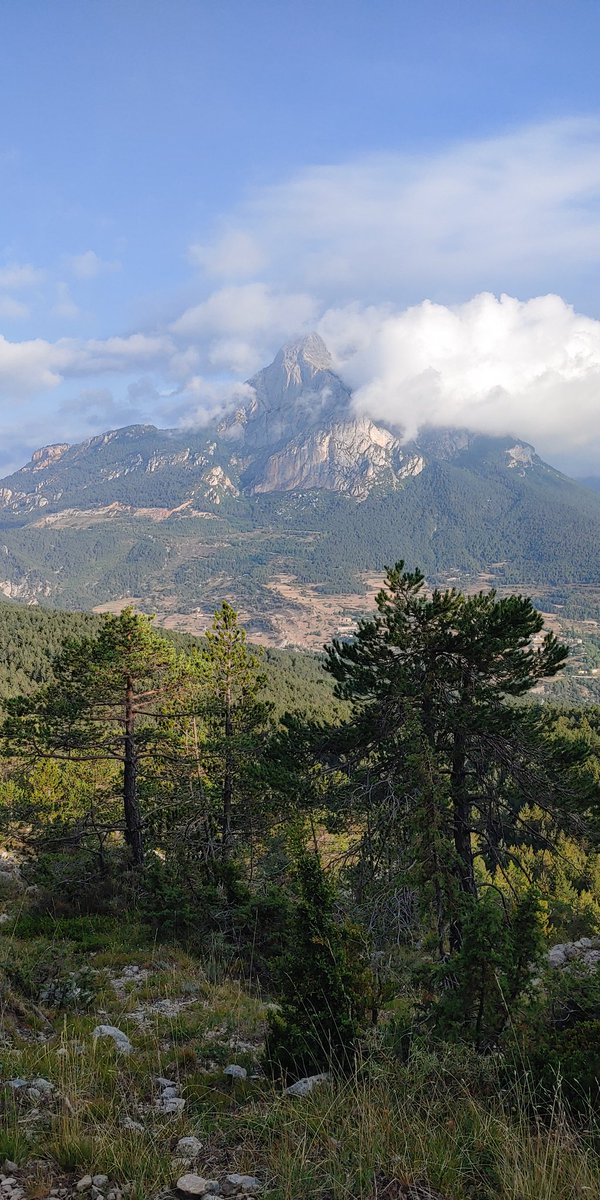 ppvillalta's tweet image. Gaudint del paisatge, del silenci i la música de les petjades fent camins pels voltants del Pedraforca en familia. #estiu2022 #privilegis #luxe #senzillament