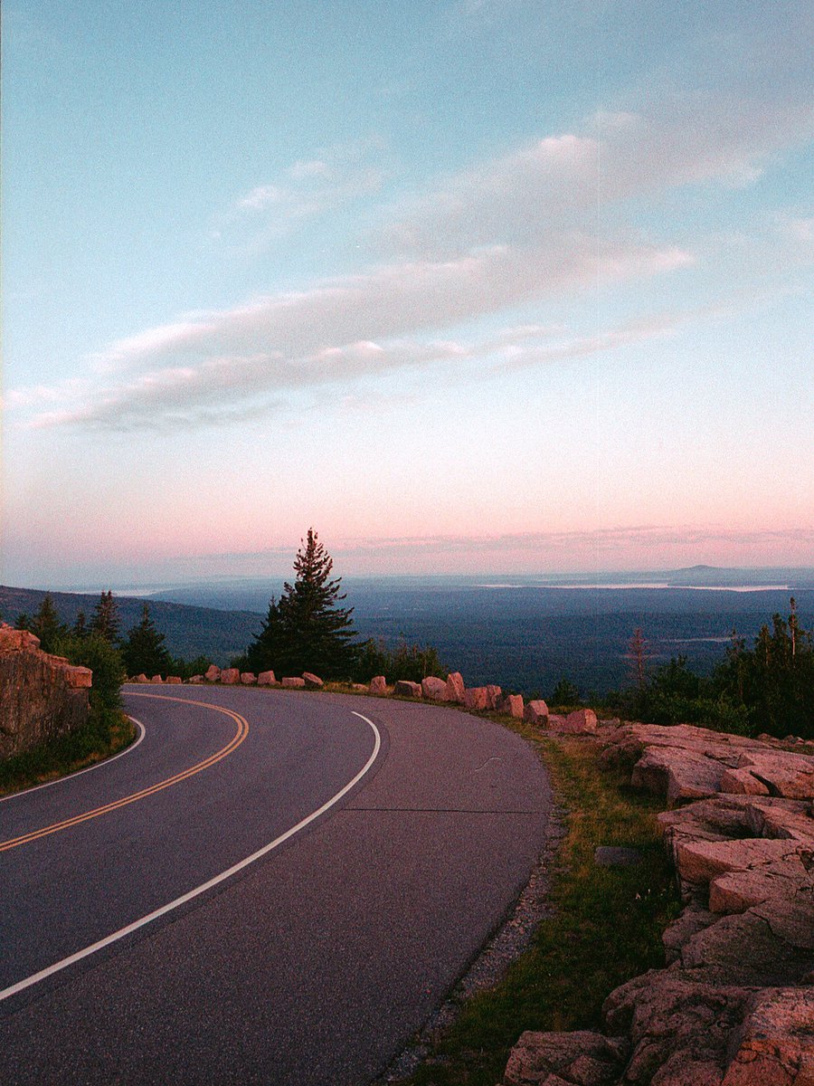 nev_in_color's tweet photo. film photography. 🎞 https://t.co/vsZg527xAB