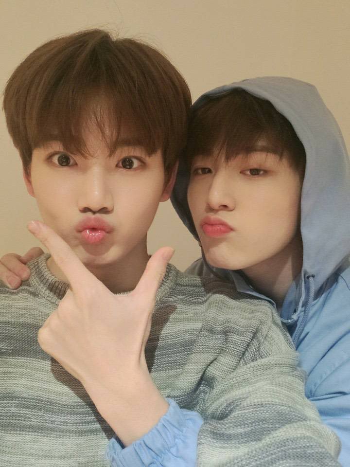 뀨랑카우 tweet media