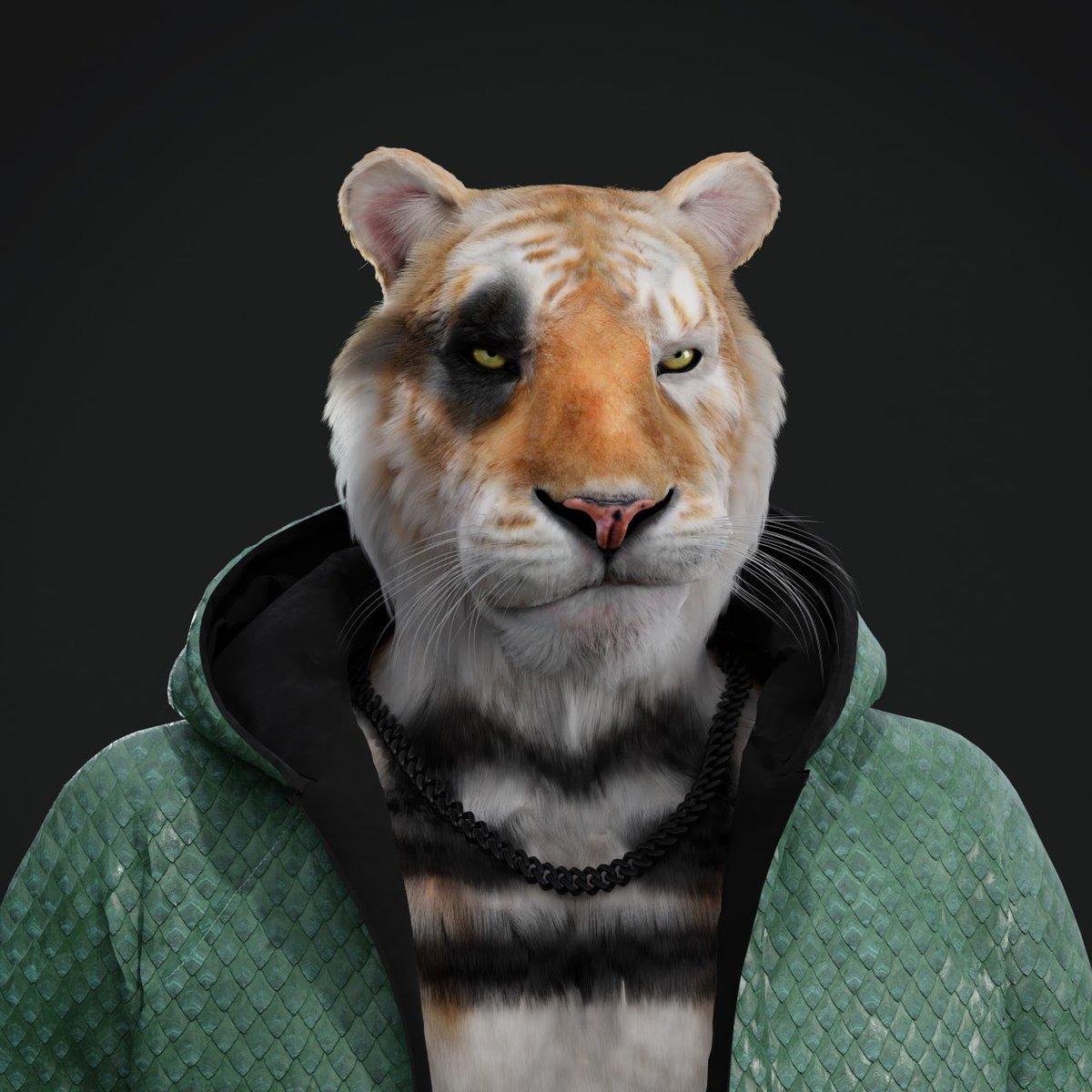 Panthers | Game Studio tweet media