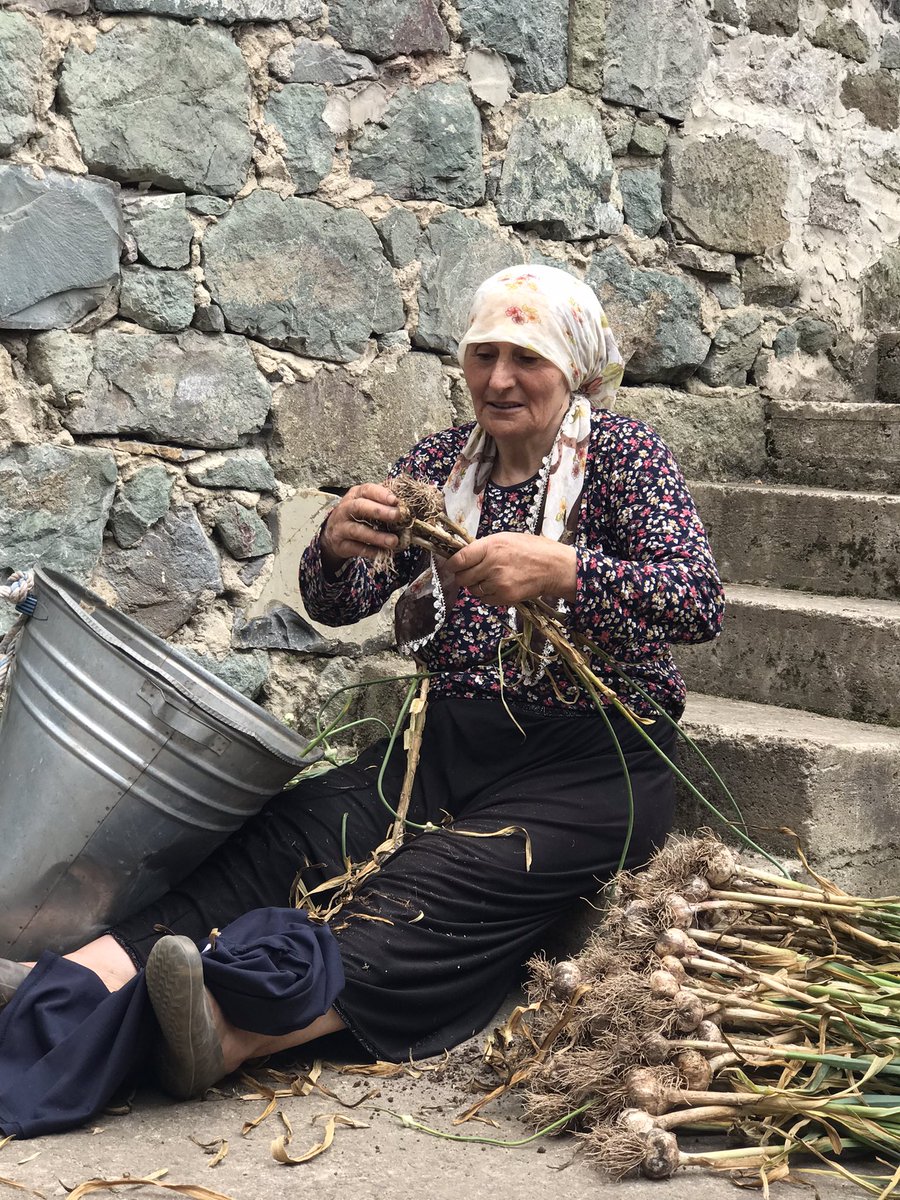 idrsaydn's tweet photo. Anam bu yıl ki #sarımsak hasadını tamamladı.
.
.
31.07.2022 / #Ormamiçi (#Godla) Köyü https://t.co/B2SKs2SewC