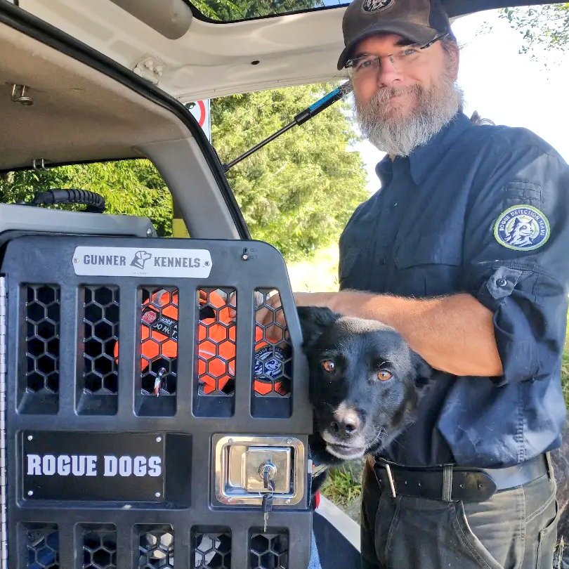 roguedetection's tweet photo. #ConservationDogs Pips, Whisper, Filson & Willow are leading the way for this #RuggedResearch. They'll be sniffing for several species simultaneously! Multi species projects like these are so exiting for our hard working, #FetchObsessed, #DetectionDogs because it means more BALL! https://t.co/3UnzXFpEGk