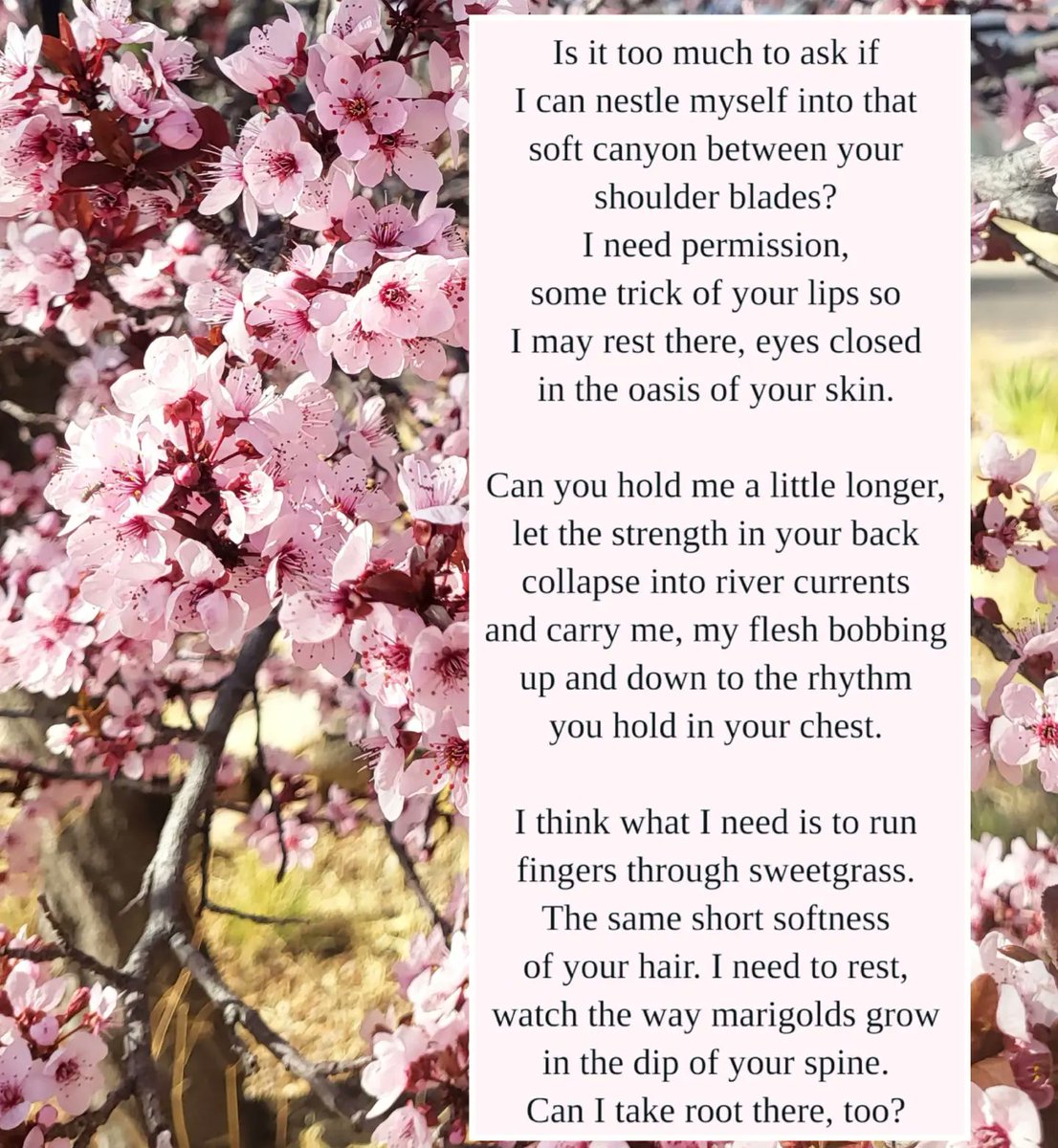 lesbianthinmint's tweet photo. Just a recent assortment of recent writing 💋 bye again, twitter! https://t.co/nuasRJyTF6