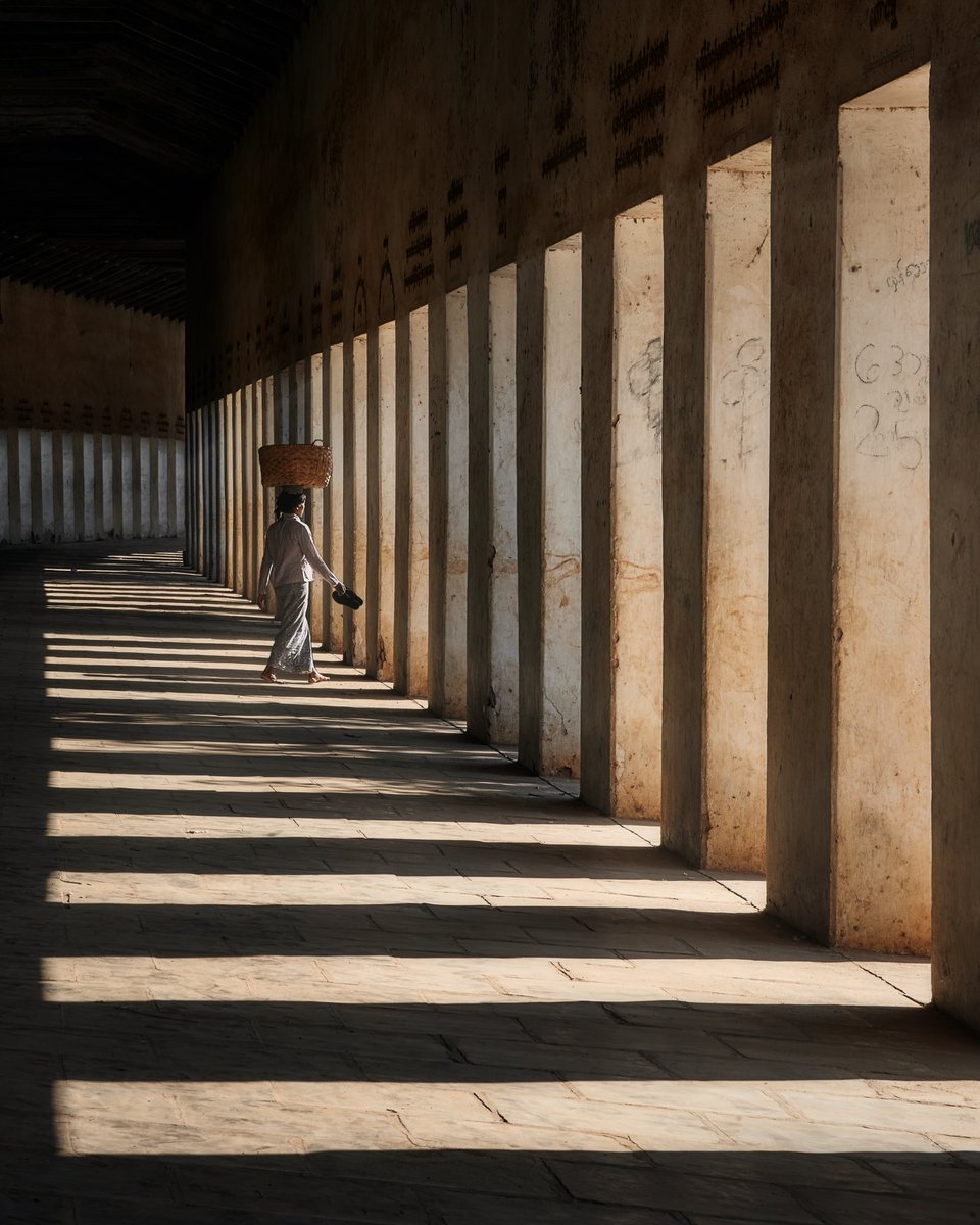 blowithand's tweet image. Step into the daylight.