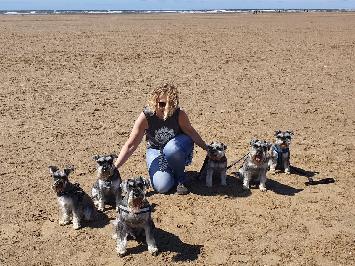 Lovely zoom on the beach today with our two and Ian brought Laveen’s gang-Dollie, George, Merlin and Bluebell 💙