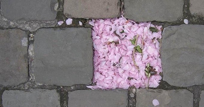 ttasdemir2022's tweet photo. • Daha güzeliyle dolar belki boşluklar. #umutet https://t.co/lJImeLlctK