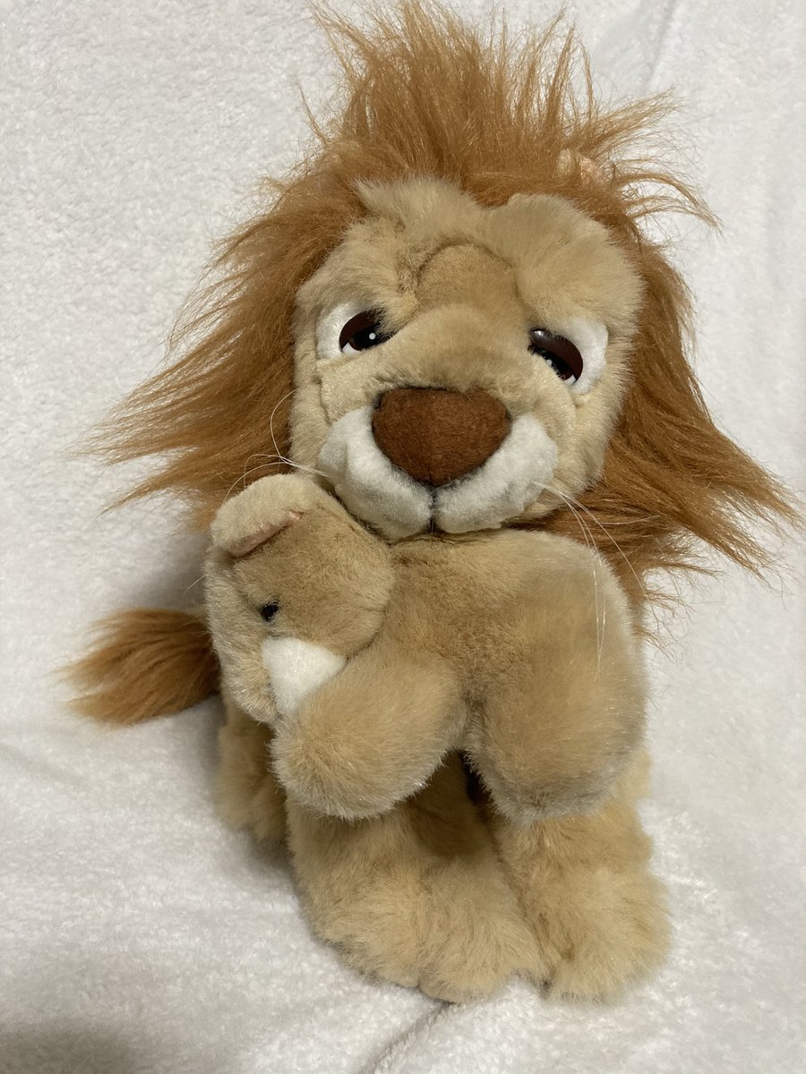GeneratorRoom's tweet photo. Kane and his son Yellow Jacket are ready for adoption! He's a chunky boy and is about a foot tall.

Their total adoption fee is $20, which has shipping included. I only ship within the U.S. currently so please keep that in mind. https://t.co/hadlfcWUZt