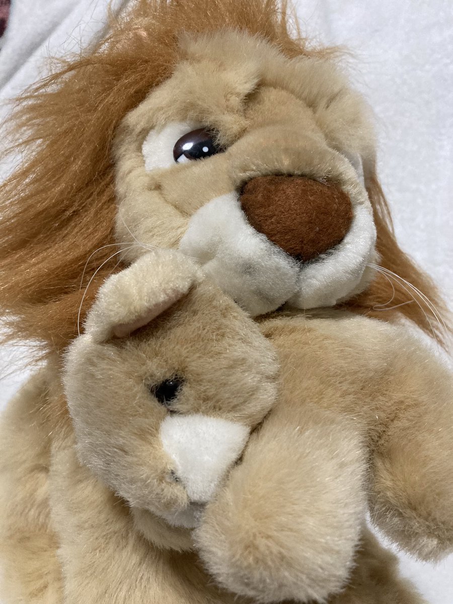 GeneratorRoom's tweet photo. Kane and his son Yellow Jacket are ready for adoption! He's a chunky boy and is about a foot tall.

Their total adoption fee is $20, which has shipping included. I only ship within the U.S. currently so please keep that in mind. https://t.co/hadlfcWUZt