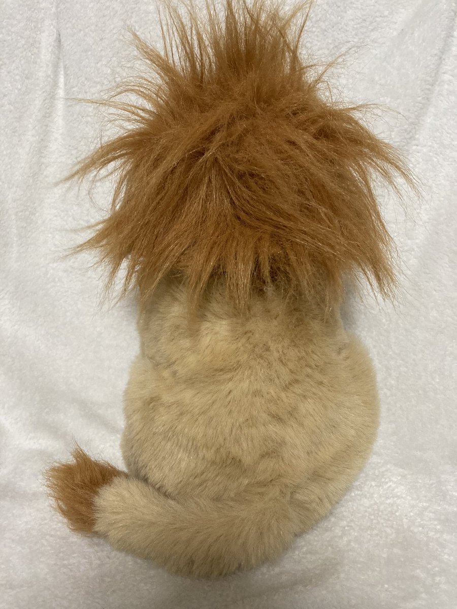 GeneratorRoom's tweet photo. Kane and his son Yellow Jacket are ready for adoption! He's a chunky boy and is about a foot tall.

Their total adoption fee is $20, which has shipping included. I only ship within the U.S. currently so please keep that in mind. https://t.co/hadlfcWUZt
