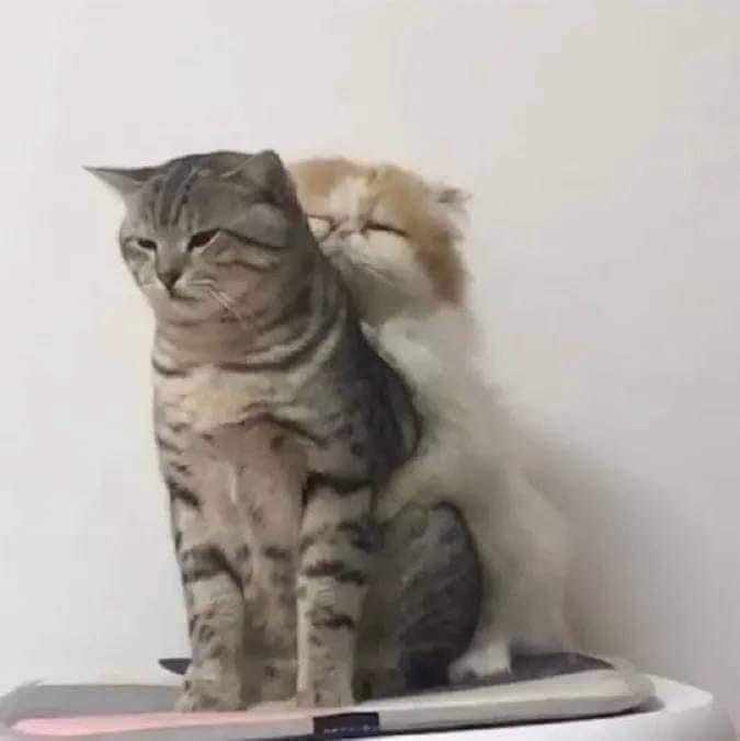 Ayang ketika ngambek