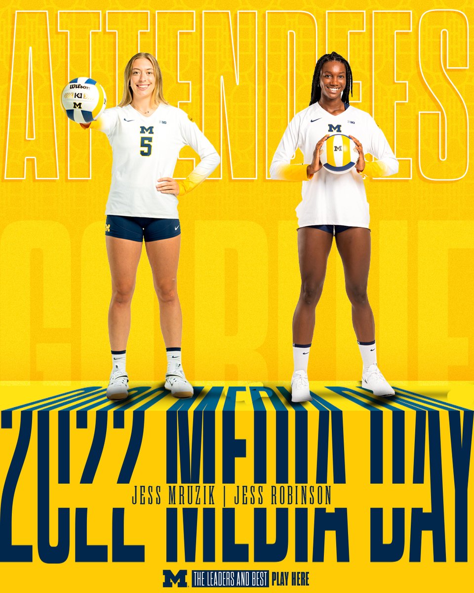 Michigan Volleyball tweet media