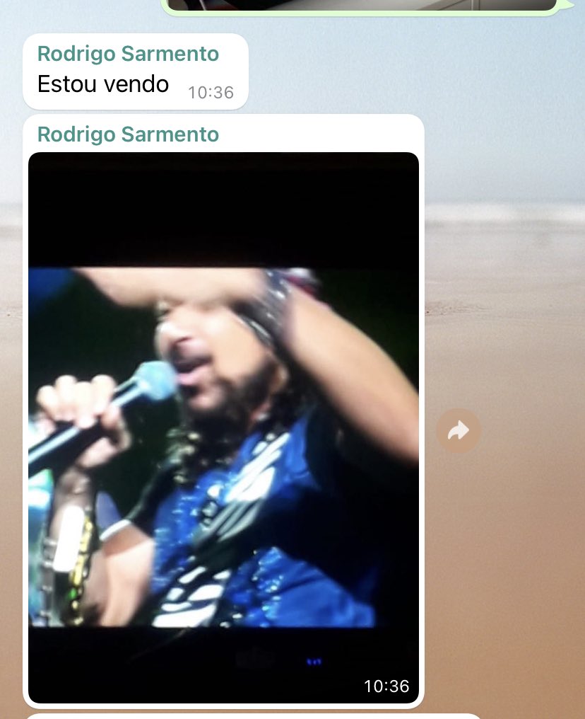 Vitor Peixoto tweet media