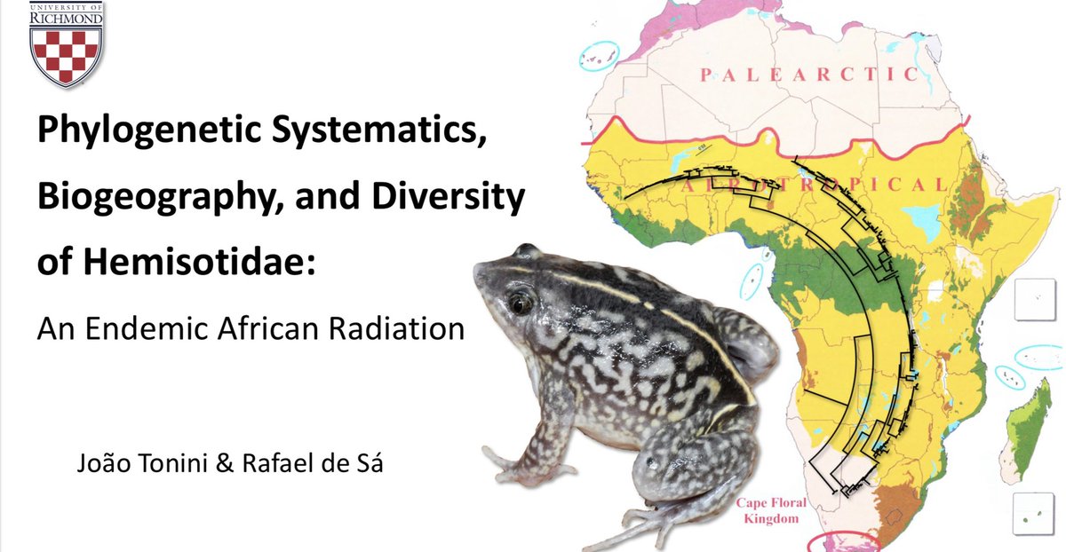 João Tonini tweet media