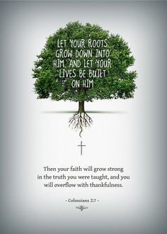 emma6USA's tweet photo. Sunday Blessings
@4rrbd 
@Imcg_2 
@USCJ65 
@goldisez 
@raderld 
@rdrhwke 
@KitStott 
@RW2RED 
@RDog861 
@Baboo729 
@gildea_leo 
@Chloe4Djt 
@LedRobster 
@FreeStateFl 
@Ecomemory1 
@daverich503 
@SaltyBitch_52 
@BigmouthRebel 🙏
@cali_beachangel 
@Dusty35254853 
@emma6USA 🦅 https://t.co/ZuN31od3NW