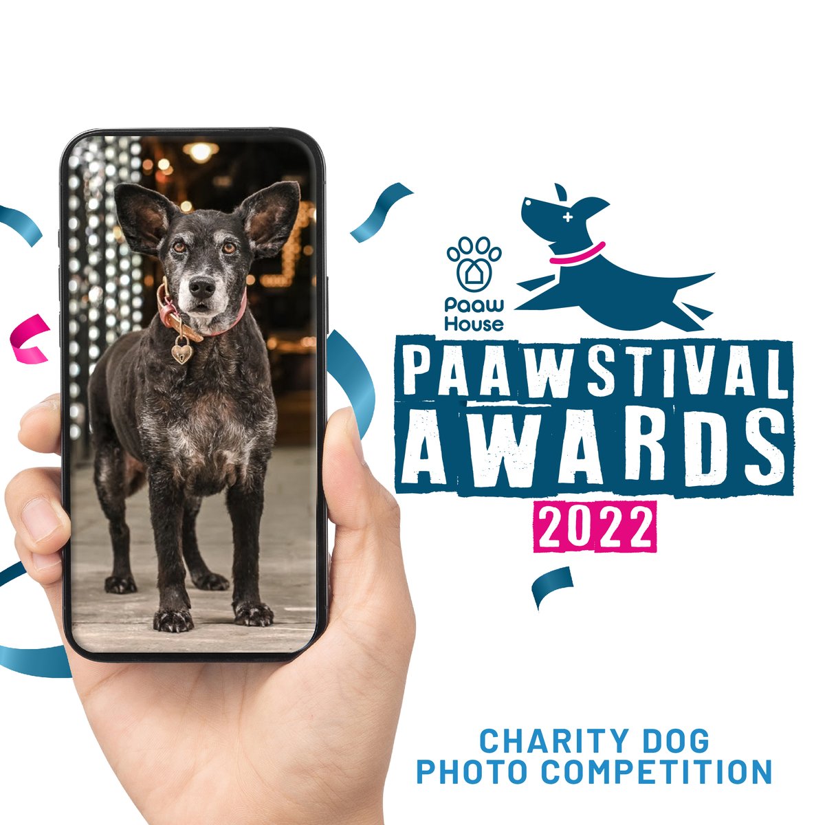 Entries are still open! Don’t forget to upload and enter into your favourite category to be in for a chance to win some amazing prizes! Follow paawstival.co.uk to enter!