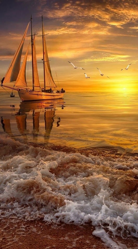 goNauticalNY's tweet photo. Sunset Sail https://t.co/ofdP2lMKSs
#sailing #sunset #sailboat #gonautical https://t.co/fFAbA09uaP