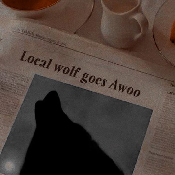 ¿ <a href="/romulolupin/">Remus.</a> ?