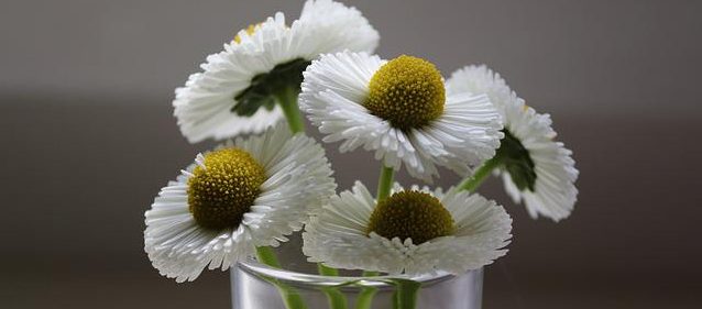 ¿Cuáles son las causas de realizar un parto inducido? gineline.com/cuales-son-las… #Cesárea #Epidural #BolsaRota #Oxitocina #MisoprostolSería imposible enumerarlas todas pero básicamente las indicaciones de finalizar el embarazo son la que ponen en riesgo a ti o a tu hijo.