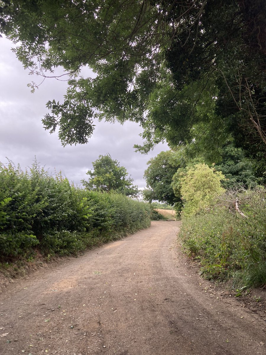 Gordon Miller tweet media