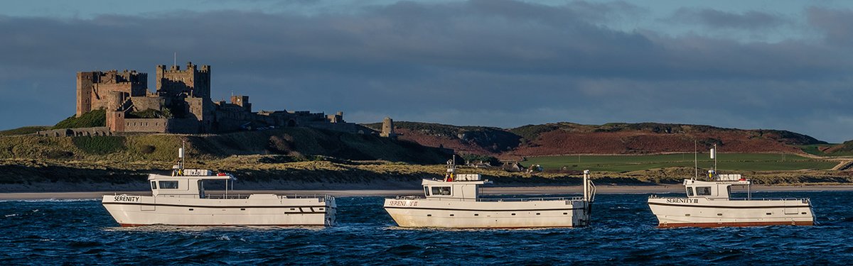0Grommit's tweet photo. @JProctions Serenity Farne Island Boat Tours https://t.co/iR6FJ9Cp0O #farneislands #northumberland #nature #birds #wildlife #seahouses #naturephotography #puffins #rspb #wildlifephotography #puffin #northumberlandcoast #photography #northsea #seals #uk #birdsofinstagram https://t.co/aFcATAGiIF