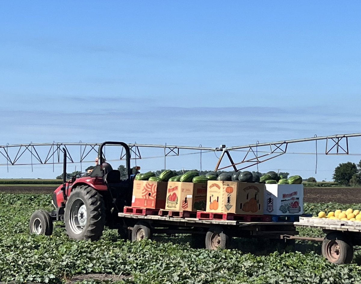 michael_kelly00's tweet photo. Watermelon season is here! 🍉🍉🍉#mitchellmelons https://t.co/ArbeoeFmQK