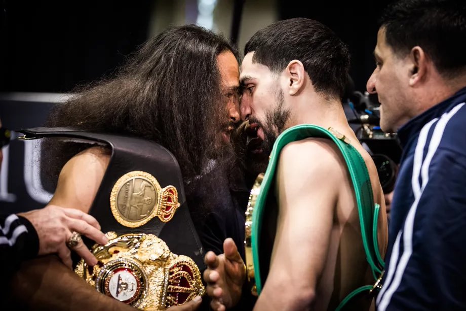 andy ruiz fight