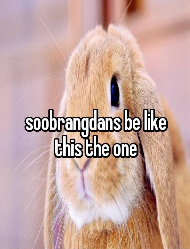 csbsfeed's tweet image. 