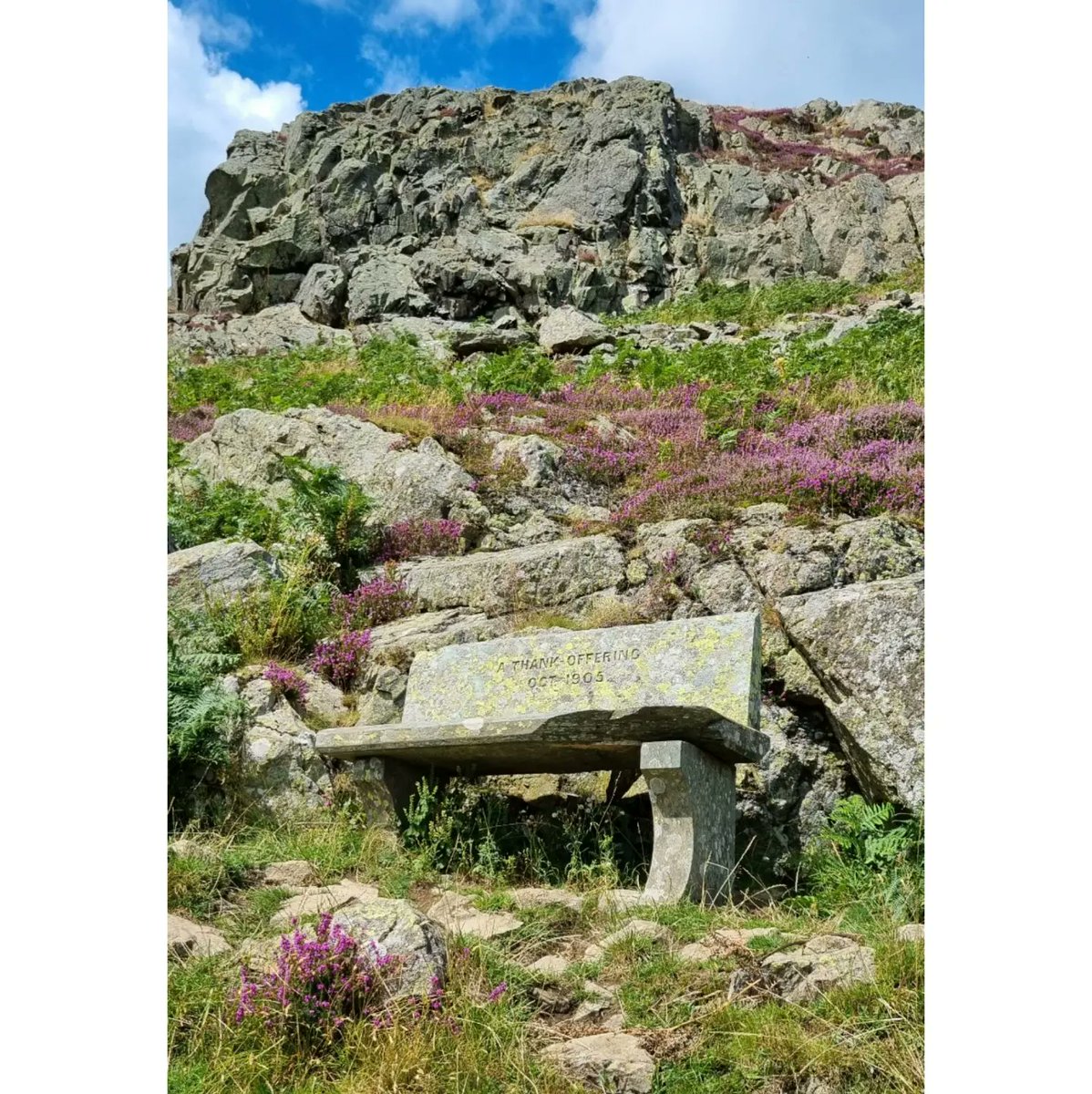 MichelleAshwor7's tweet photo. Didn't intend on going up the Gowbarrow Fell today β°οΈπ€·ββοΈbut so glad we did ππ #outstandingviews #ntchallenge #nationaltrust #fells #lakedistrict #lovewalking #mountains @Cumbria_Lakes @images_lake @MeersGail @tracyshawcross https://t.co/v1IbNFW2hX