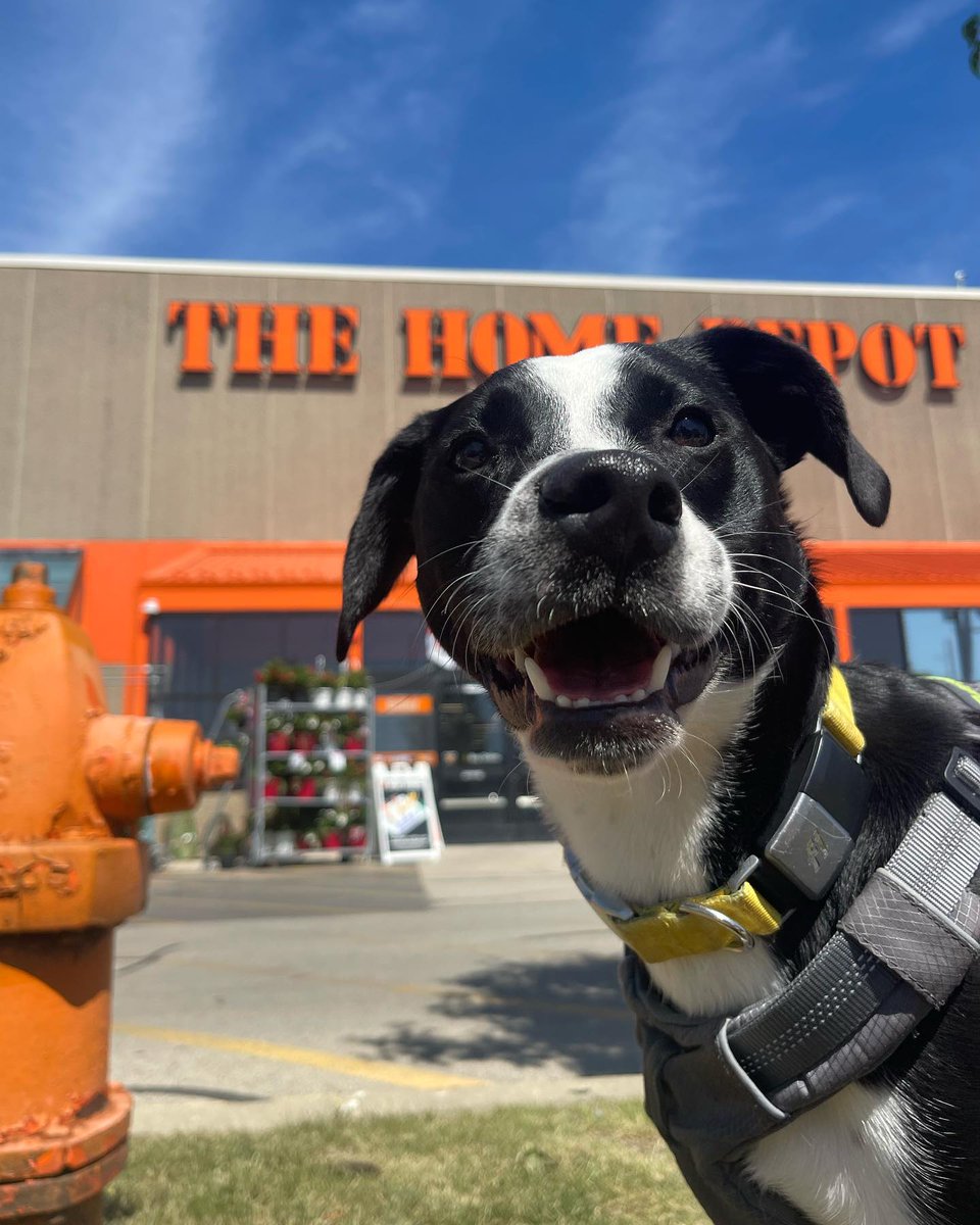 The Home Depot tweet media