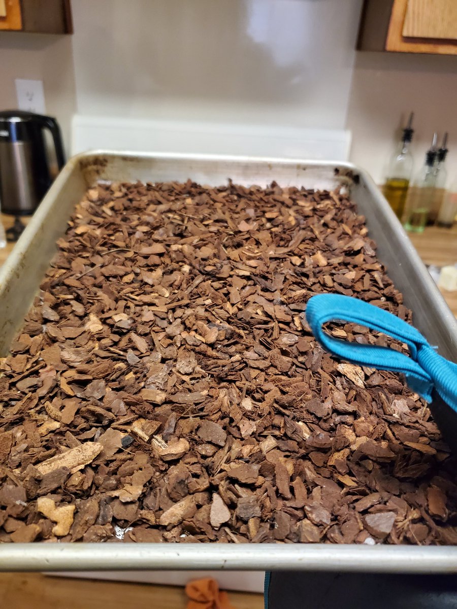 literallyleaves's tweet photo. The forbidden snack

#planttwitter #sanitization https://t.co/8RIXsghGEr