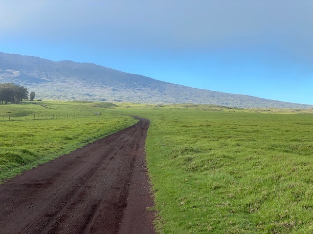parkerranchinc's tweet photo. “If you make the mistake of looking back too much, you aren’t focused enough on the road in front of you.” 

Brad Paisley https://t.co/MGJkVAOM2l