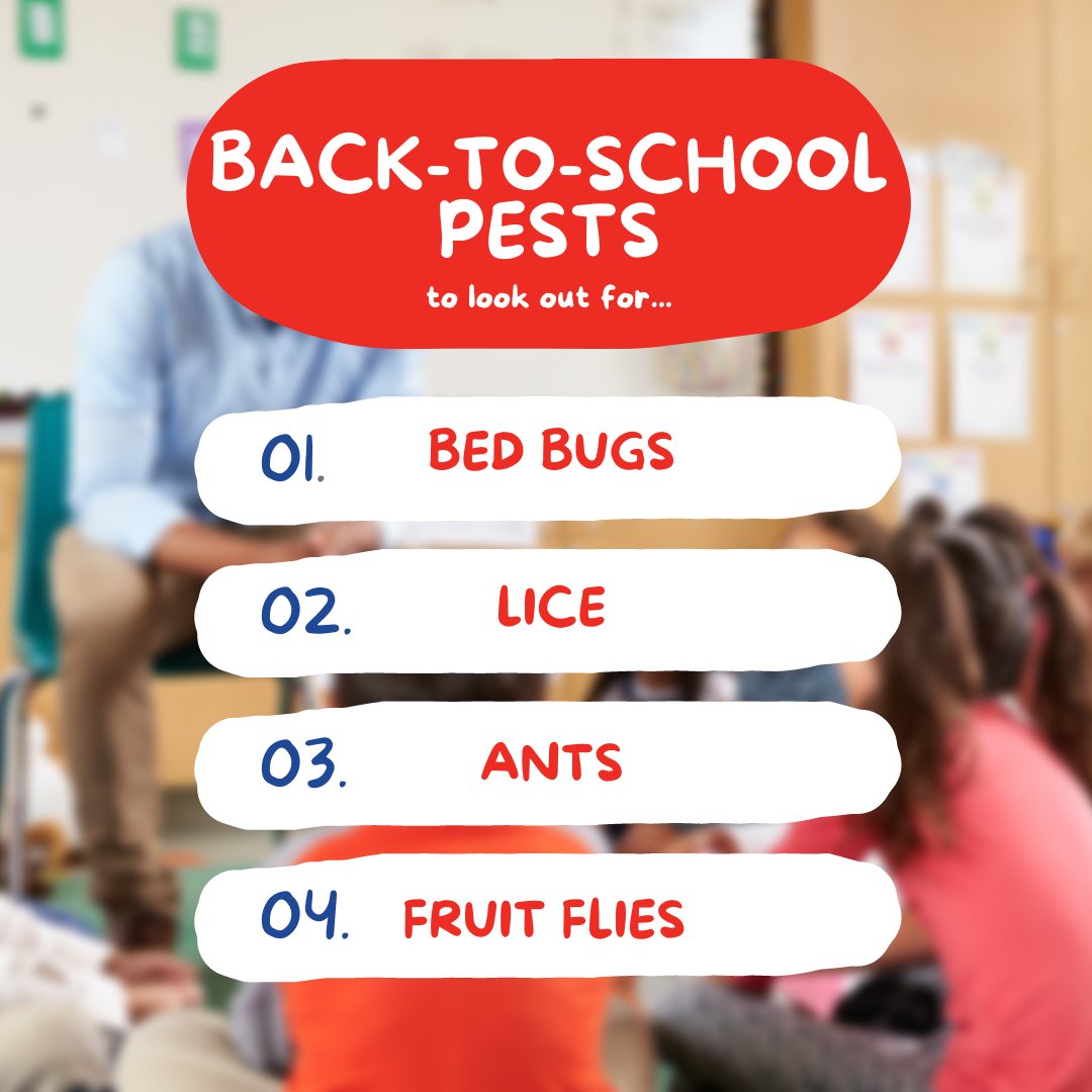 School is back in session and the last thing you want to deal with is a pest invasion! Keep an eye out for these invaders throughout the school year! 🎒📚