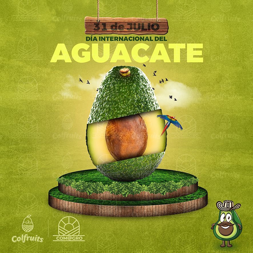 Avocados from Colombia (@colfruits) on Twitter photo 