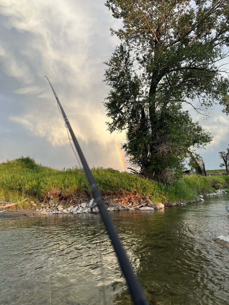 Les Wall tweet media