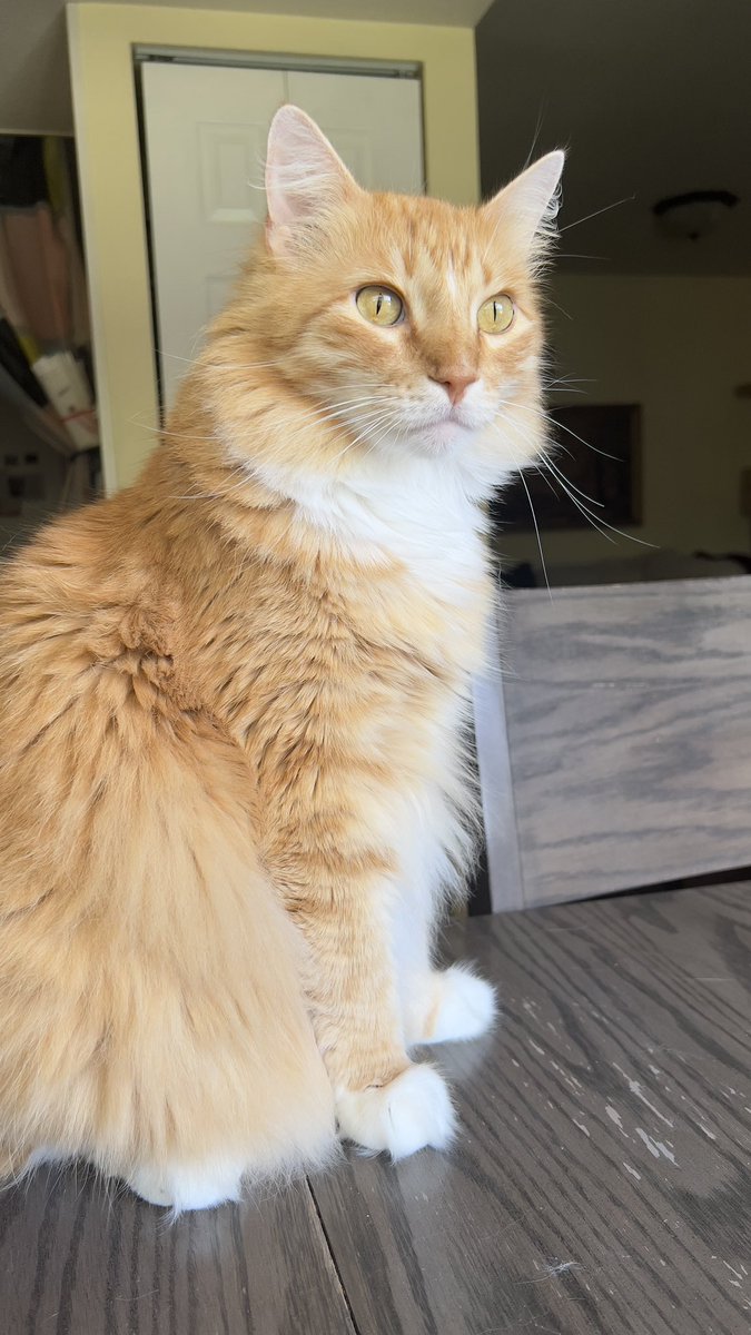 DrewCooperCatster tweet media