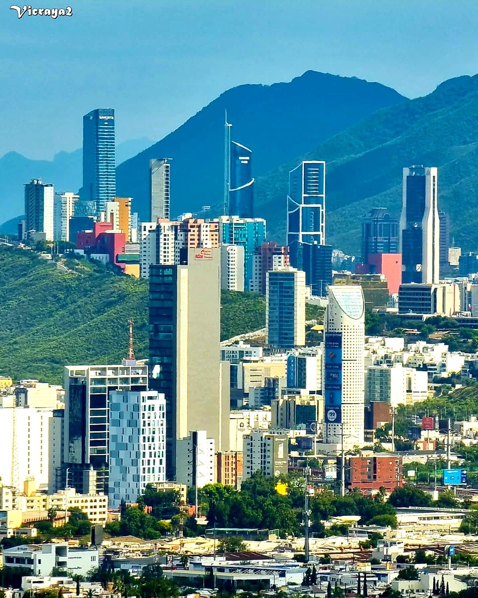 mty_360's tweet photo. Los rascacielos de Monterrey 🏙 https://t.co/9ymfXgHdTq