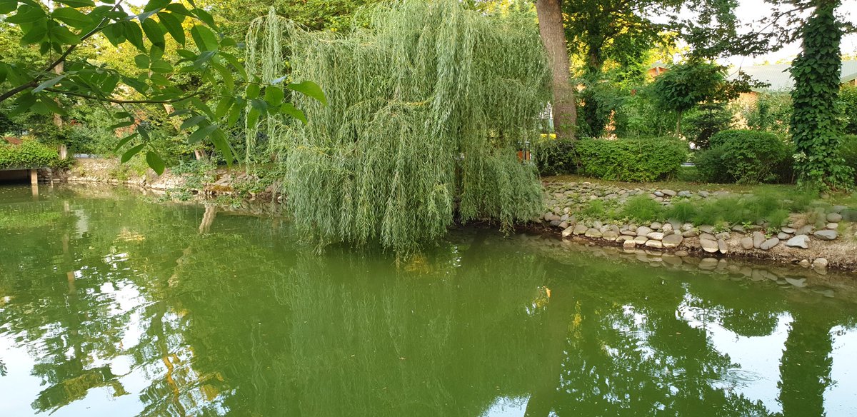 shafiyev_farid's tweet photo. Sea, forest, rivers & ponds - all meet in Nabran https://t.co/RaMdK6sz3p