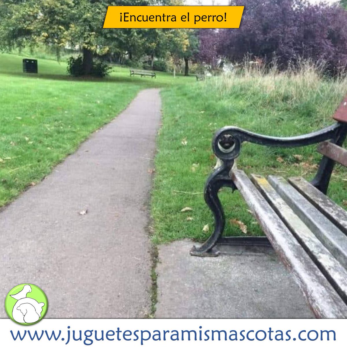JugueteMascotas's tweet image. ¿Encuentras el perro? 
Hay uno es esta foto y cuando lo veas deja tu comentario pero sin decir dónde está ¡Suerte! 🐶

#perros #encuentraelperro #findthedog #juegos #findesemana #fotosgraciosas