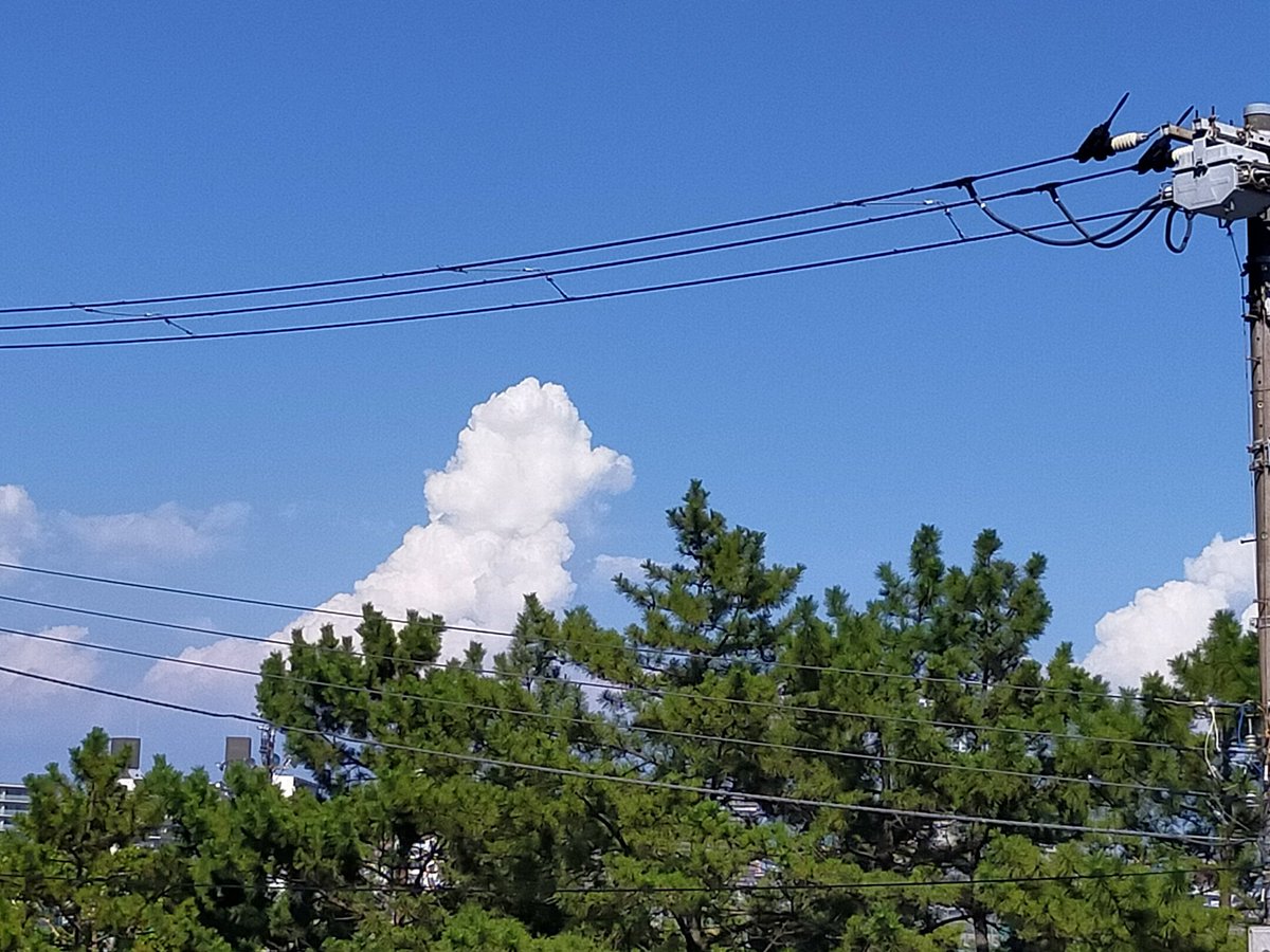 プードル雲あった
＃プードル