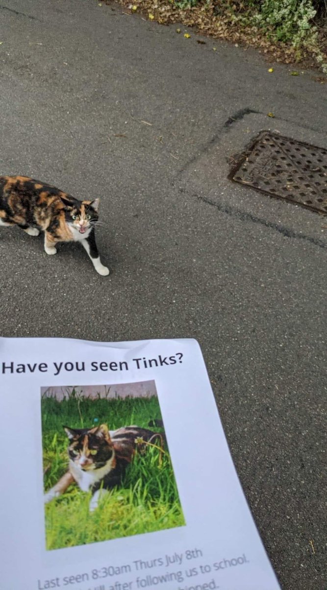 WholesomeMemes (@wholesomememe) on Twitter photo 